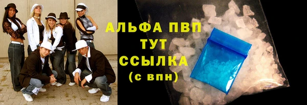 СК Алексин