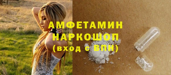 СК Алексин