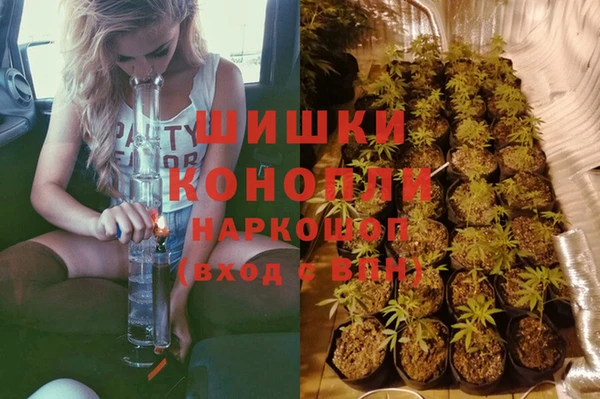 СК Алексин