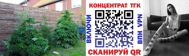 Дистиллят ТГК жижа Сургут