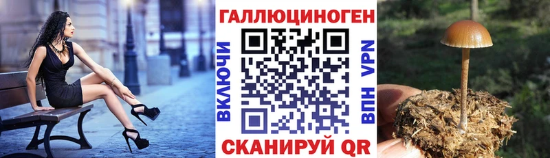 Псилоцибиновые грибы мухоморы  Сургут 