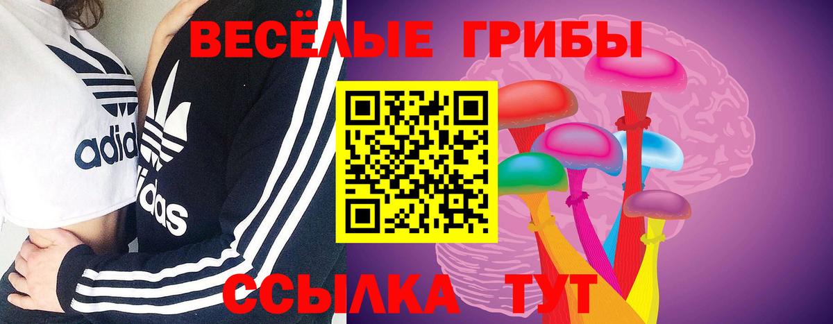 Галлюциногенные грибы ЛСД  Вход с VPN  Сургут 